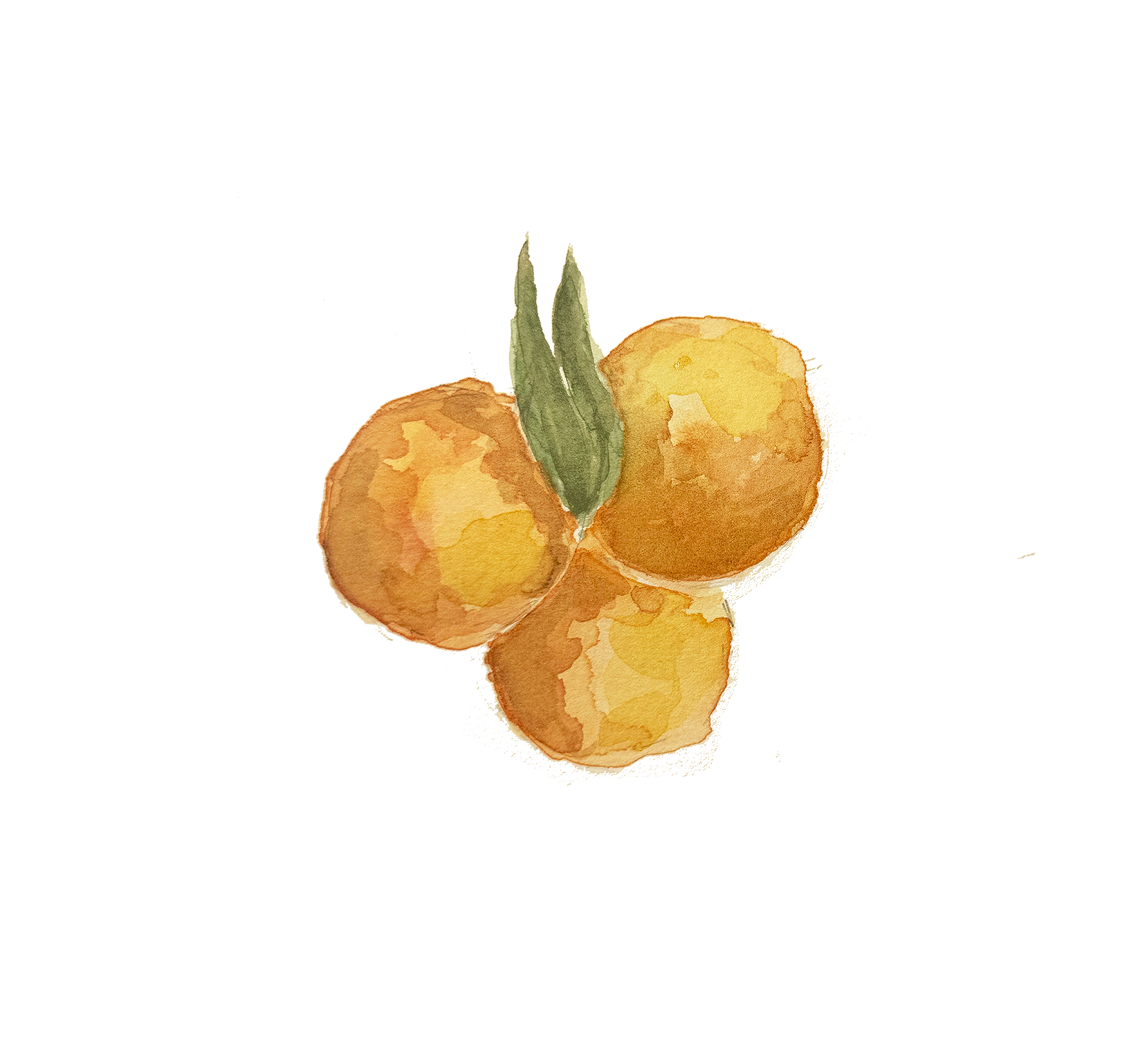 Laranja esquerda